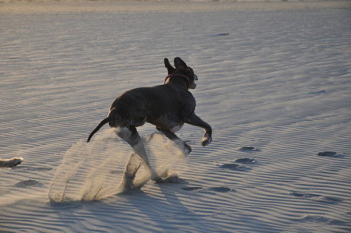 Three Legs of Thunder