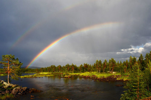 Image: Wikipedia / Jerry MagnuM Porsbjer - www.magnumphoto.se