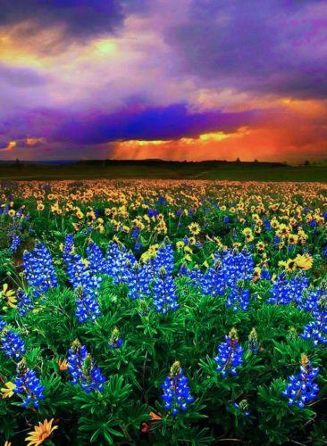 Summer storm in The Dalles, Oregon. Image courtesy of Wikimedia Commons.